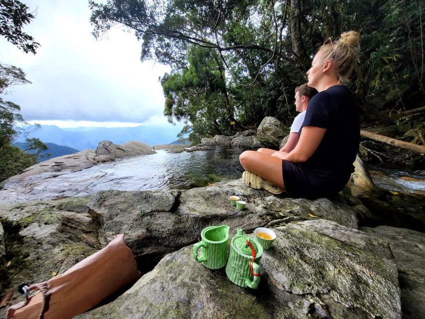 From Da Nang or Hoi An: Bach Ma National Park Trek & Lunch - The guide experience in English: why small-group matters on steep trails