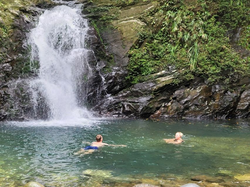 From Da Nang or Hoi An: Bach Ma National Park Trek & Lunch - Military remnants and jungle wildlife: why the park isn’t only about views