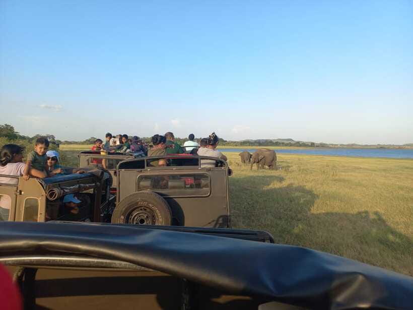 From Dambulla: Minneriya National Park wild Jeep Safari - Weather, route changes, and why you should trust the driver