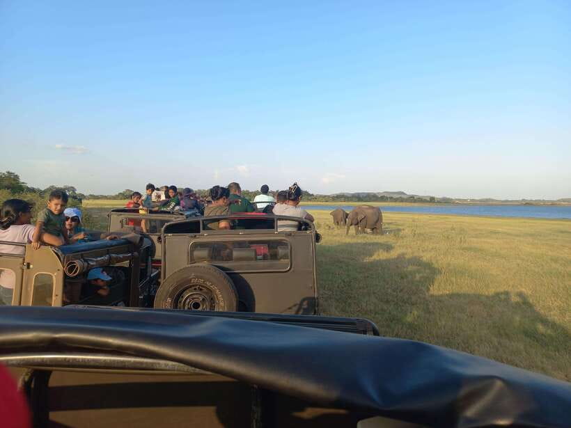 From Dambulla: Minneriya National Park wild Jeep Safari - The 4-hour plan: what your time actually looks like