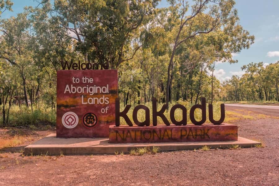 From Darwin: Kakadu National Park Full Day Tour - Comfort, group pace, and guide delivery in the minibus