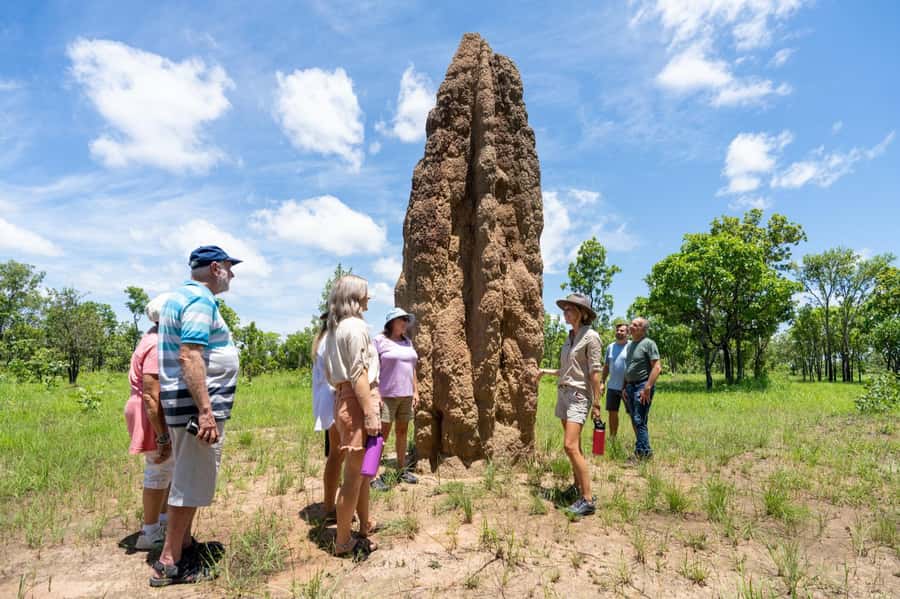 From Darwin: Litchfield National Park Day Trip - Magnetic Termite Mounds: small structures with a big story