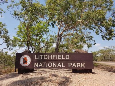 From Darwin: Litchfield National Park Day Trip - Jumping Crocodiles on the Adelaide River versus Fogg Dam wetlands
