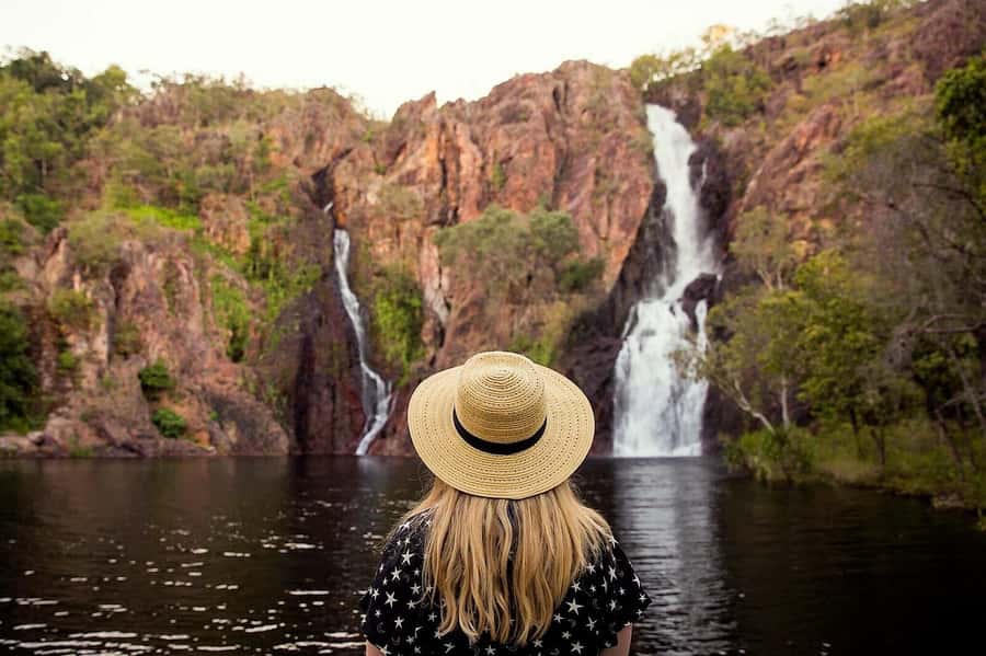 From Darwin: Litchfield National Park Day Trip - Fogg Dam and wetlands: seeing wildlife without the crowds