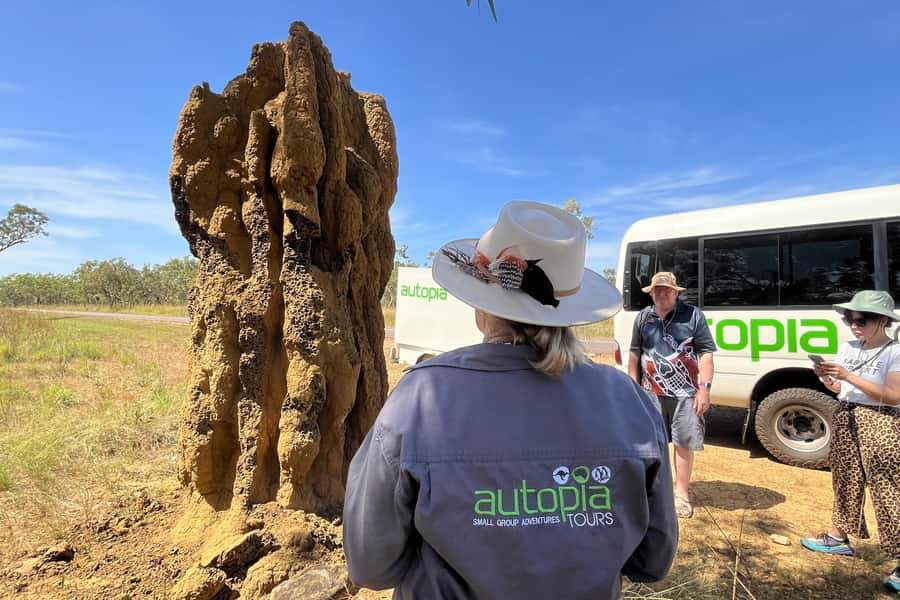 From Darwin: Litchfield National Park Day Trip - Timing, heat, and what to pack so the day stays fun