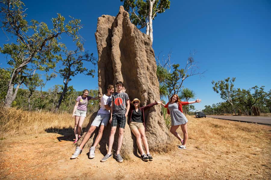 From Darwin: Litchfield National Park Full Day Tour - Leaving Darwin: a full day that actually changes your mood
