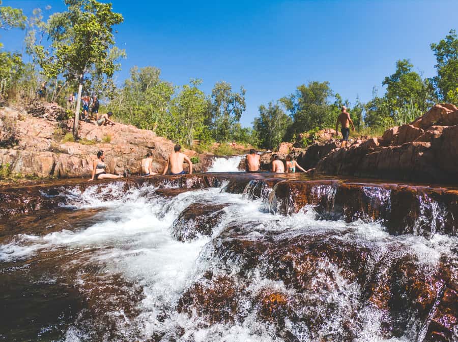 From Darwin: Litchfield National Park Full Day Tour - Magnetic Termite Mounds: the wow moment you can photograph
