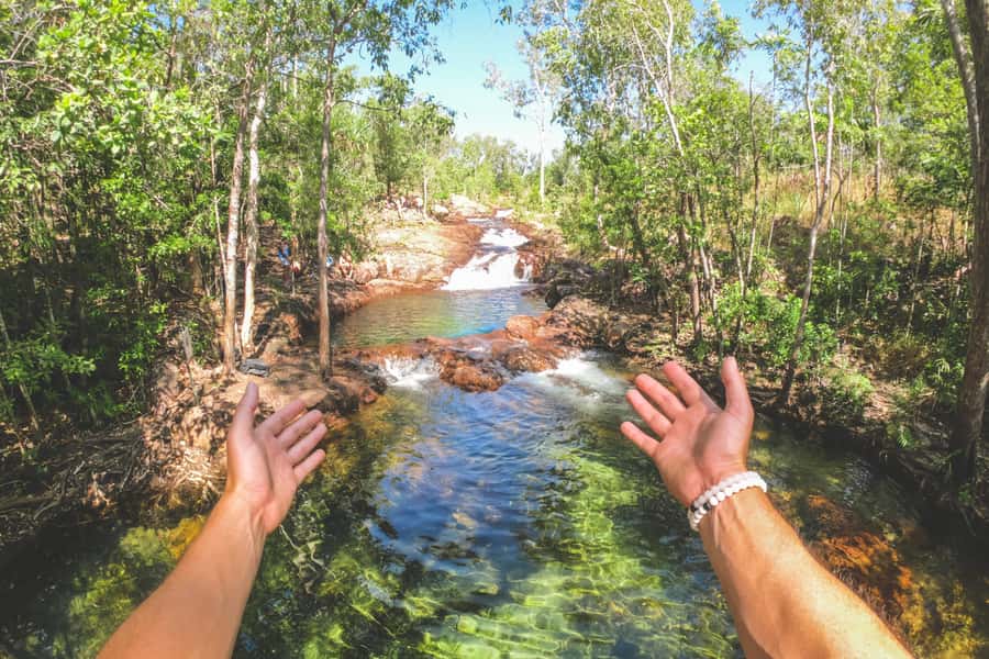 From Darwin: Litchfield National Park Full Day Tour - Crocodiles and the optional Adelaide River jumping cruise