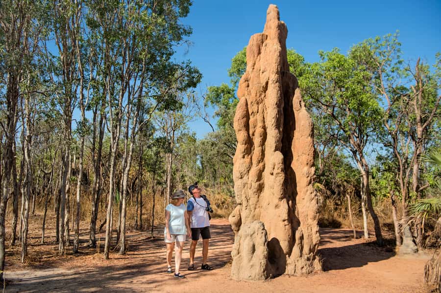 From Darwin: Litchfield National Park Full Day Tour - Fogg Dam Conservation Centre: wetlands that reward patient looking