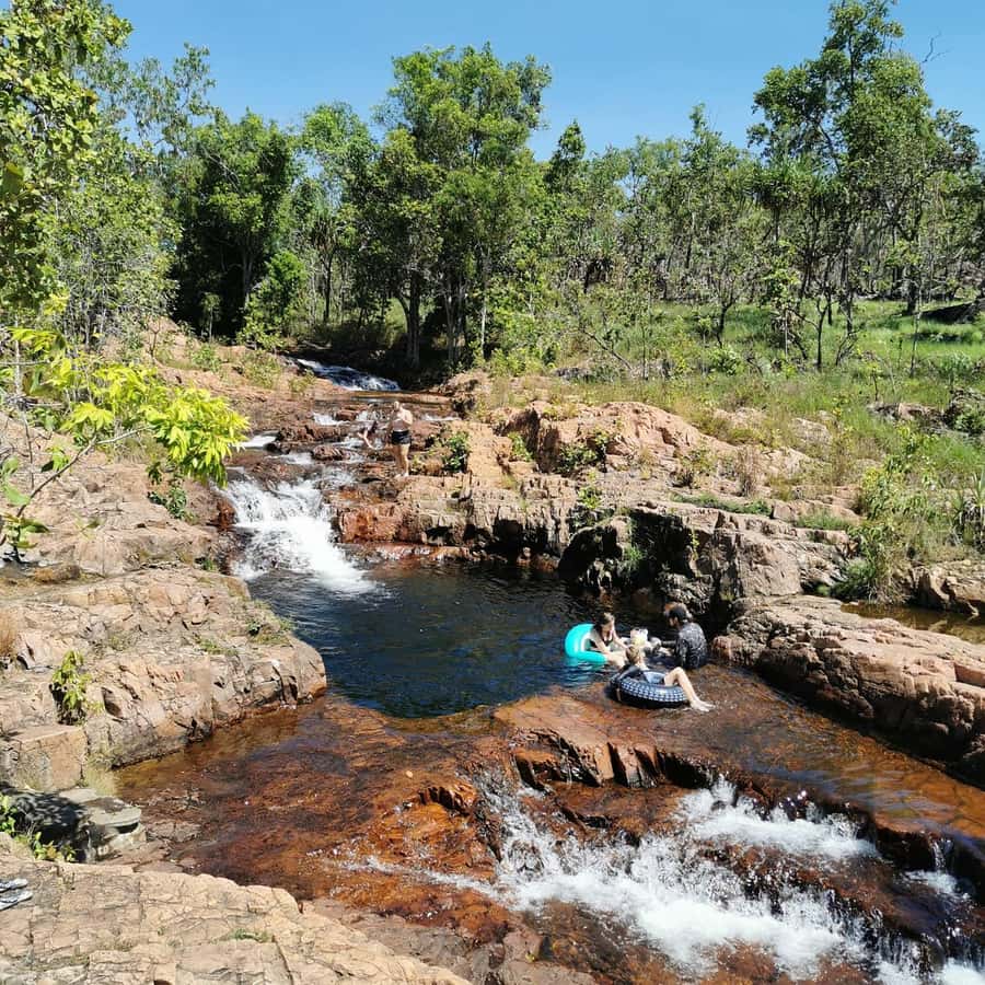 From Darwin: Litchfield National Park Small-Group Day Trip - Key highlights that make this day trip work
