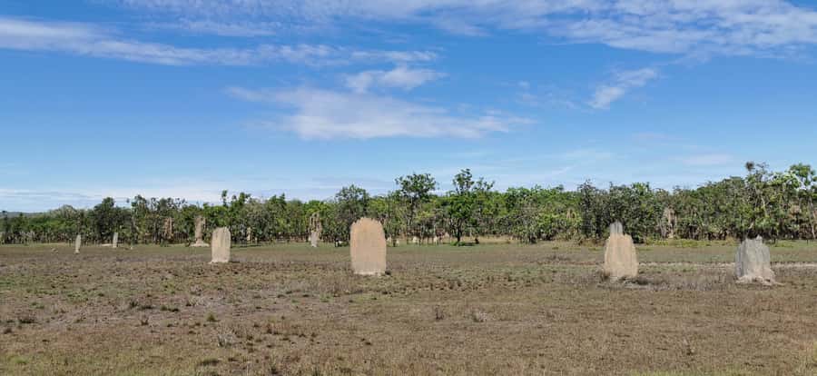 From Darwin: Litchfield National Park Small-Group Day Trip - What to bring so you don’t feel stuck mid-day