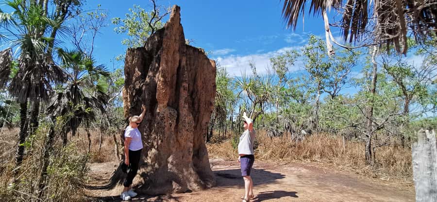 From Darwin: Litchfield National Park Small-Group Day Trip - Buley Rockholes: a second swim with classic rock-pool vibes