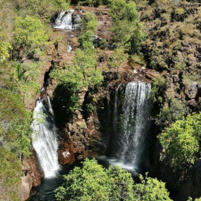 From Darwin: Litchfield National Park Small-Group Day Trip - Florence and Wangi Falls: the swimming-and-walk core
