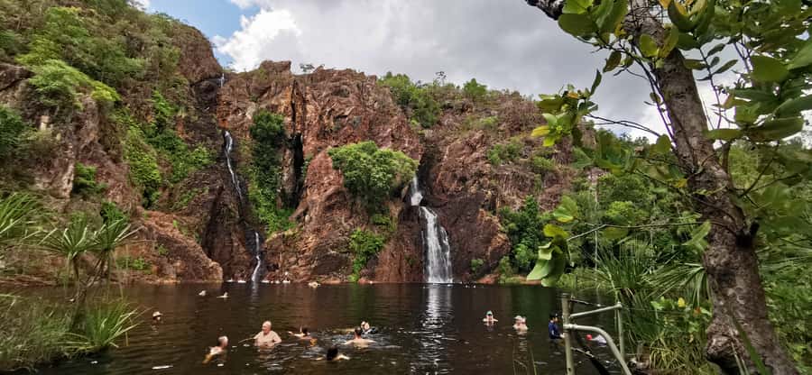 From Darwin: Litchfield National Park Small-Group Day Trip - Termite mounds: Magnetic and Cathedral aren’t just a quick look