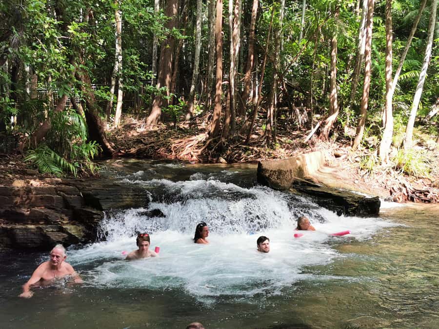 From Darwin: Litchfield National Park Small-Group Day Trip - Value: is $142 per person a fair deal?