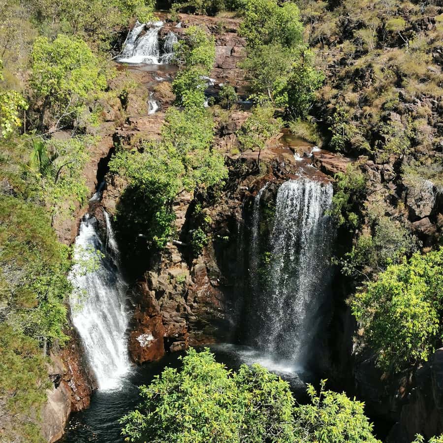 From Darwin: Litchfield National Park Small-Group Day Trip - Florence and Wangi Falls: the swimming-and-walk core