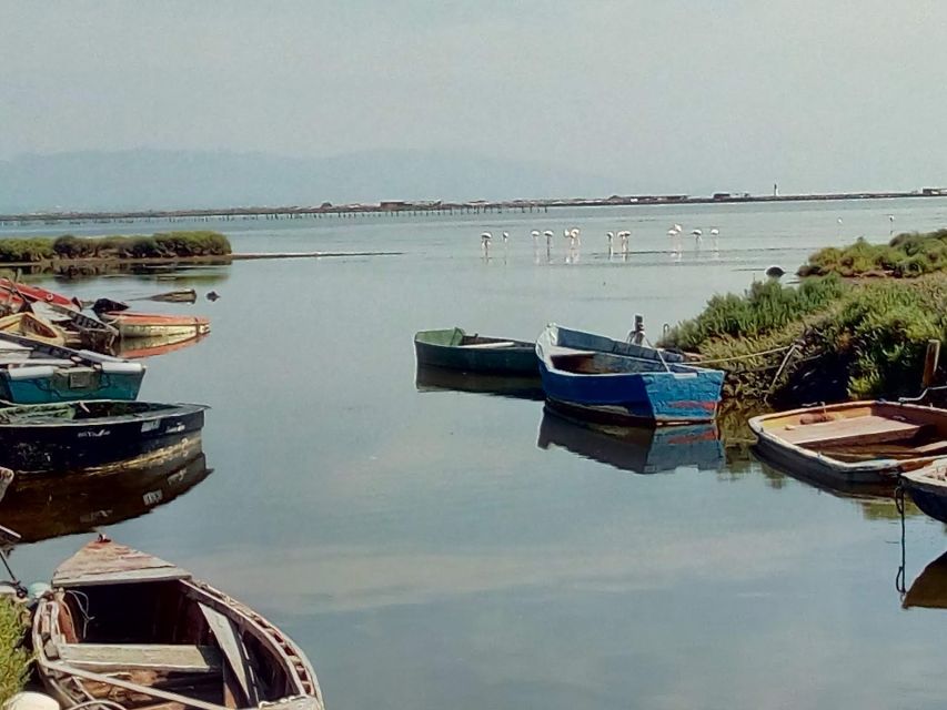 From Deltebre: Ebro Delta National Park Multi-Stop Day Trip - Birdwatching stops: what the guide helps you actually notice