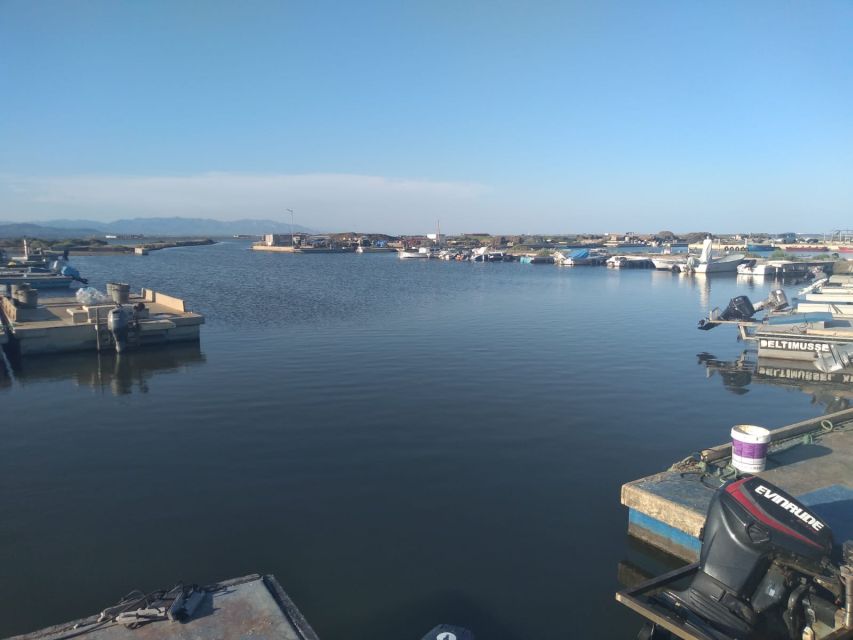 From Deltebre: Ebro Delta National Park Multi-Stop Day Trip - Who this Ebro Delta trip fits best (and who should skip it)