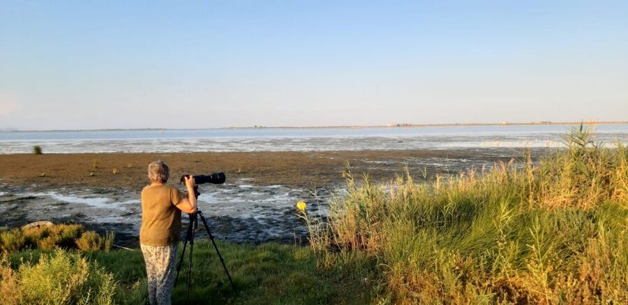 From Deltebre: Ebro Delta National Park Multi-Stop Day Trip - Should you book the Deltebre Ebro Delta multi-stop day trip?
