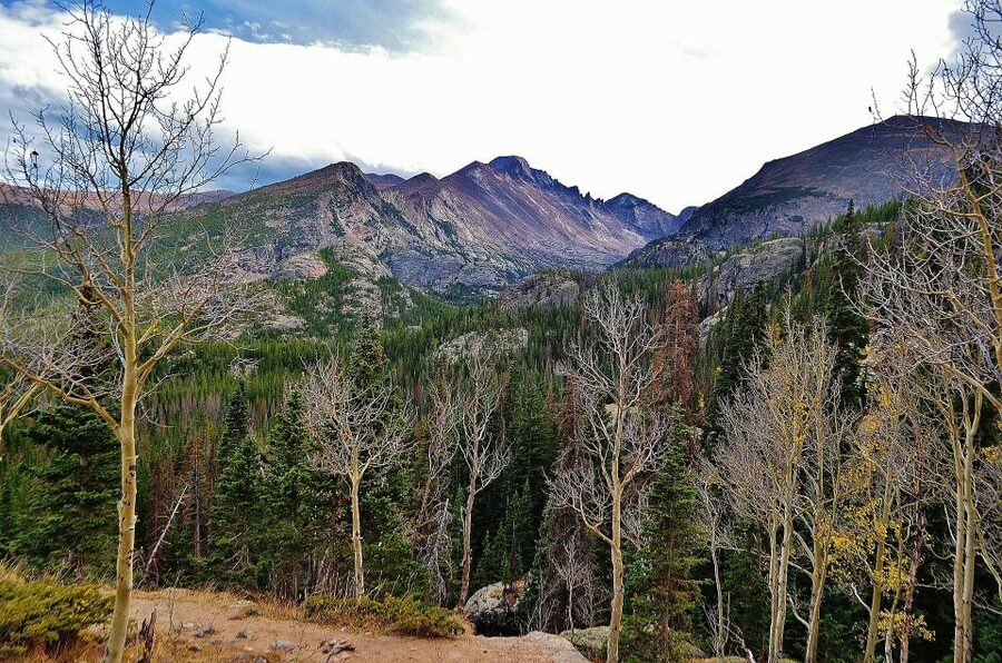 From Denver: Guided Hike in Rocky Mountain National Park - Meeting at Denver Union Station and getting pulled into park time