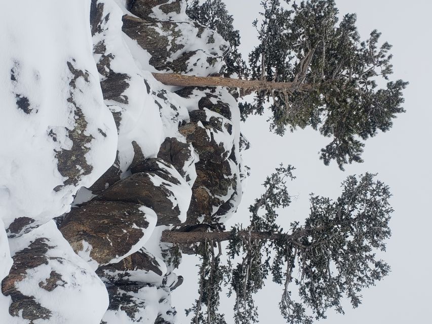 From Denver: Rocky Mountain National Park Winter/Spring Tour - Many Parks Curve and Moraine Park: viewpoints built for photos