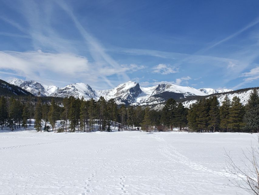 From Denver: Rocky Mountain National Park Winter/Spring Tour - Rocky Mountain National Park: where the winter views come in fast