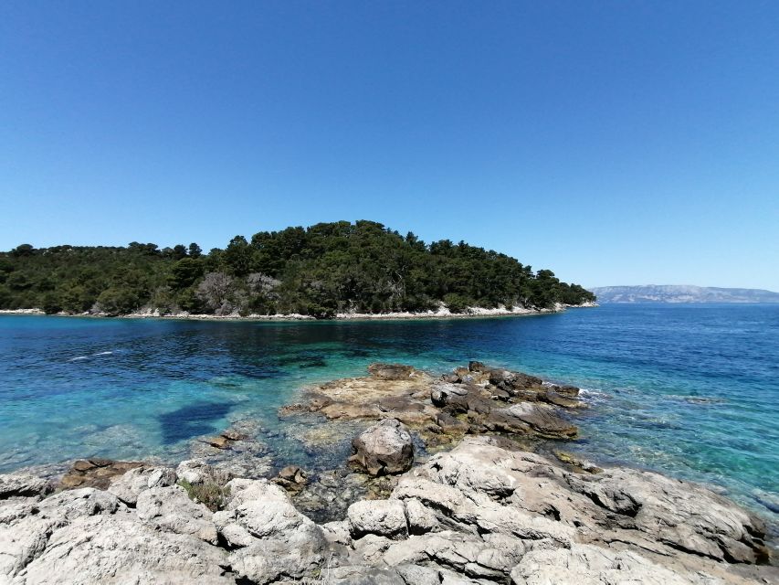 From Dubrovnik: Mljet National Park & Elaphiti Islands Trip - Price and value: what $153 really buys you
