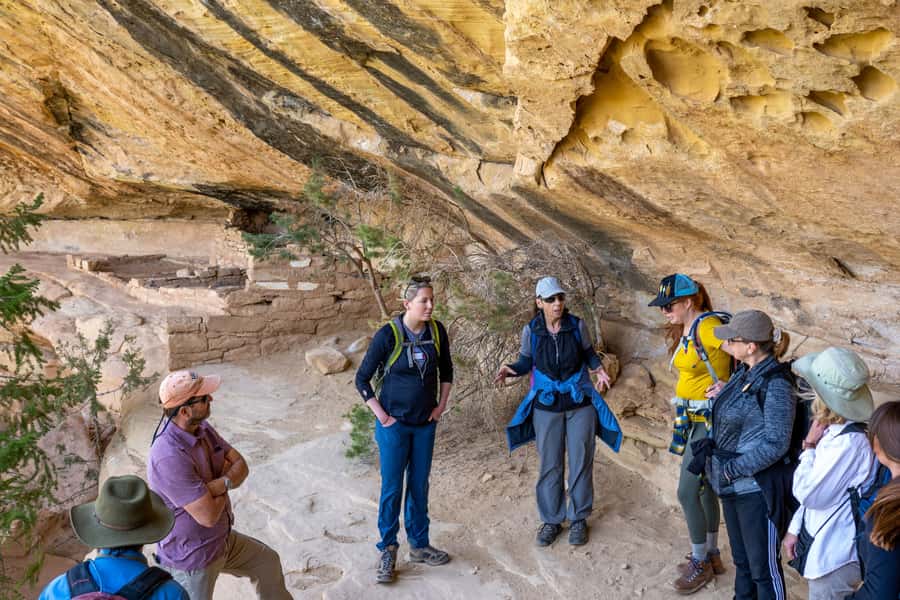 From Durango: Mesa Verde National Park Private Tour w/Lunch - Price and value: is $349 per person fair for a private Mesa Verde day?