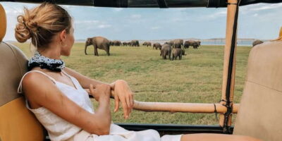 From Ella: Yala National Park Safari Tour in a 4x4 - The 3-hour 4x4 safari: how you’ll spend your time in Yala