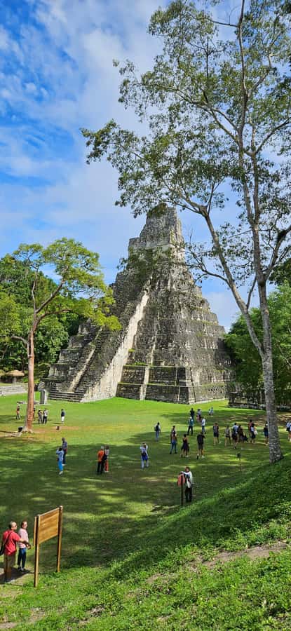 From Flores: Tikal National Park All Inclusive - From Flores or Mundo Maya Airport: pickup that actually makes sense