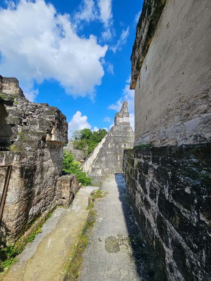 From Flores: Tikal National Park All Inclusive - Price and logistics: where the $113 really goes