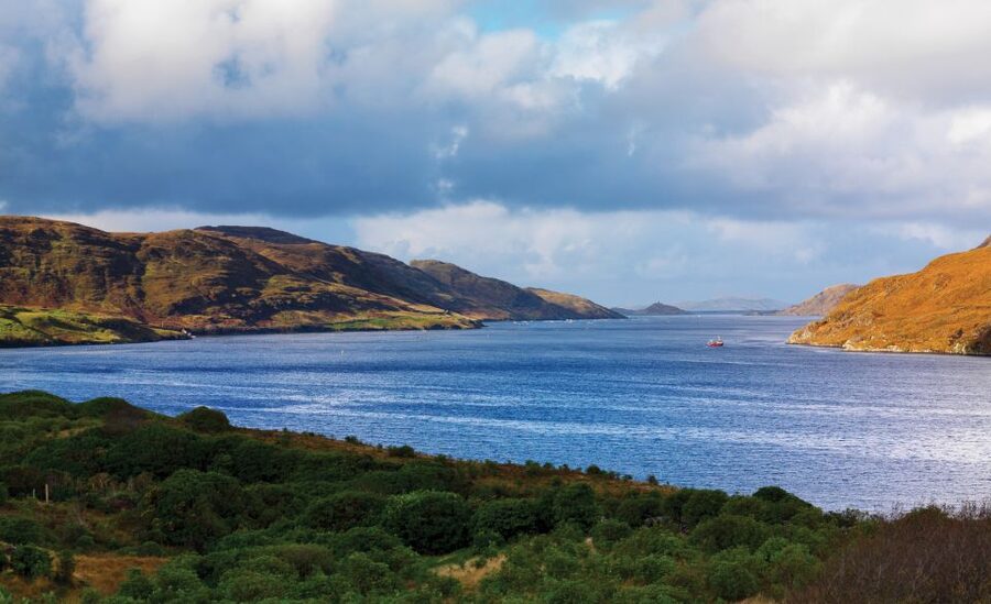 From Galway: Connemara National Park Full Day Tour - Local Language, Traditional Music, and Stories on the Road