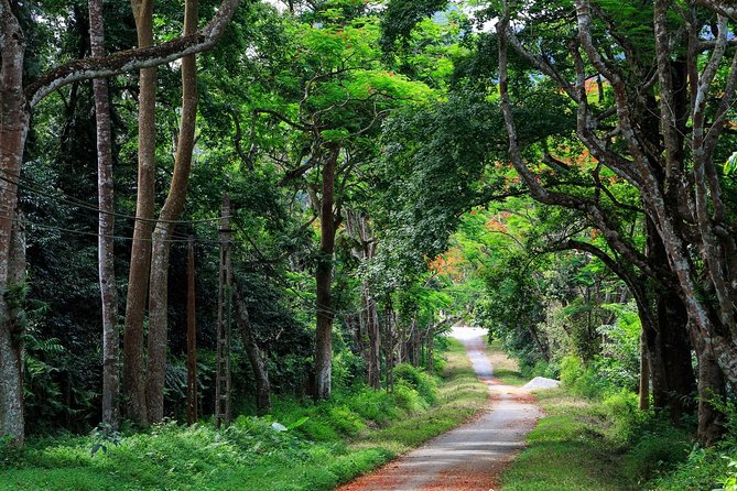 From Hanoi: Cuc Phuong National Park Day Trip by Private Car - Key things I’d prioritize on this day trip