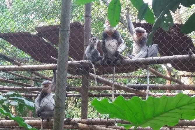 From Hanoi: Cuc Phuong National Park Day Trip by Private Car - Price and logistics: why $135.14 can feel fair