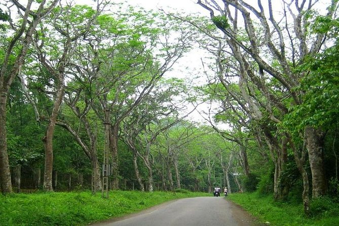 From Hanoi: Cuc Phuong National Park Day Trip by Private Car - What to pack for Cuc Phuong’s rainforest trek