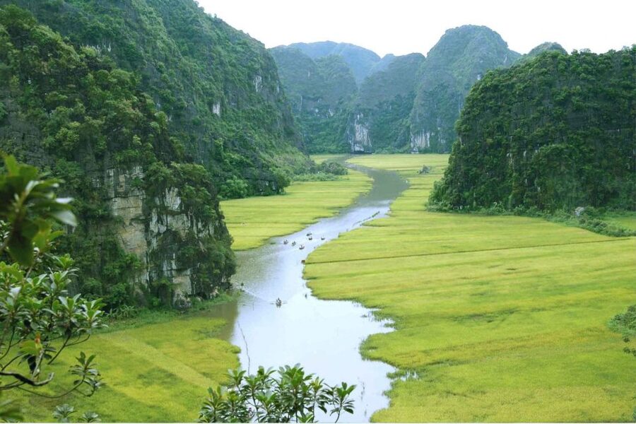 From Hanoi: Ninh Binh & Cuc Phuong National Park 2-Day Tour - Hoa Lu ancient capital: Dinh, Le, and Ly history you can picture
