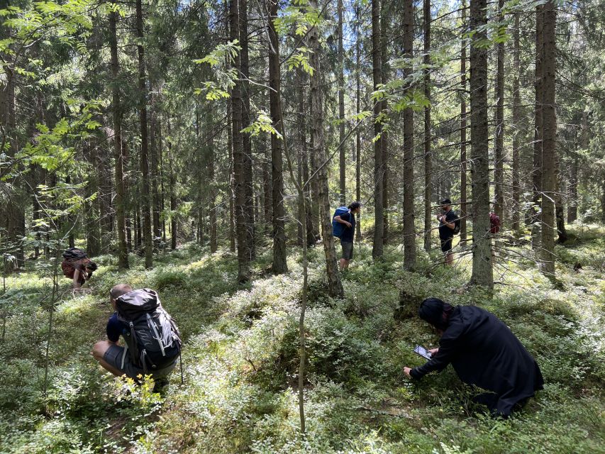 From Helsinki: Hike and Sauna in Sipoonkorpi National Park - Key things that make this tour work (and feel special)