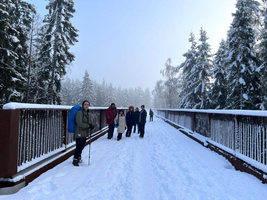 From Helsinki: Hike and Sauna in Sipoonkorpi National Park - Who this tour fits best (and who should skip it)