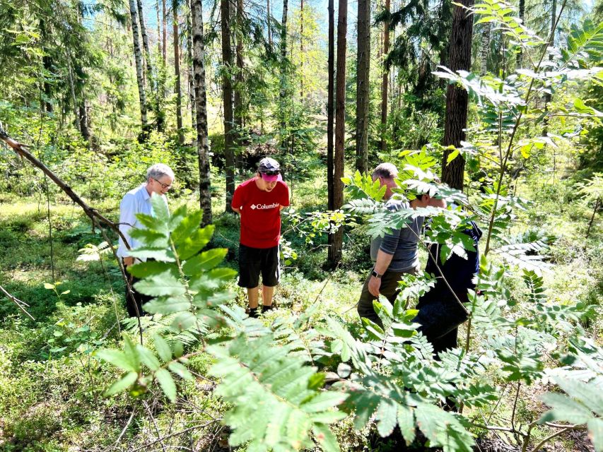 From Helsinki: Hike and Sauna in Sipoonkorpi National Park - From Kiasma to Sipoonkorpi: the Helsinki-to-forest setup