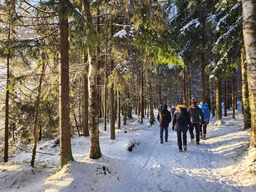 From Helsinki: Hike and Sauna in Sipoonkorpi National Park - Smoke sauna and löyly: the Finnish heat ritual, explained in plain terms