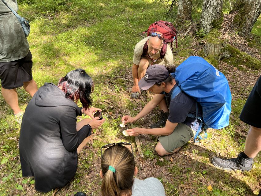 From Helsinki: Hike and Sauna in Sipoonkorpi National Park - Price and value: why $194 can make sense here