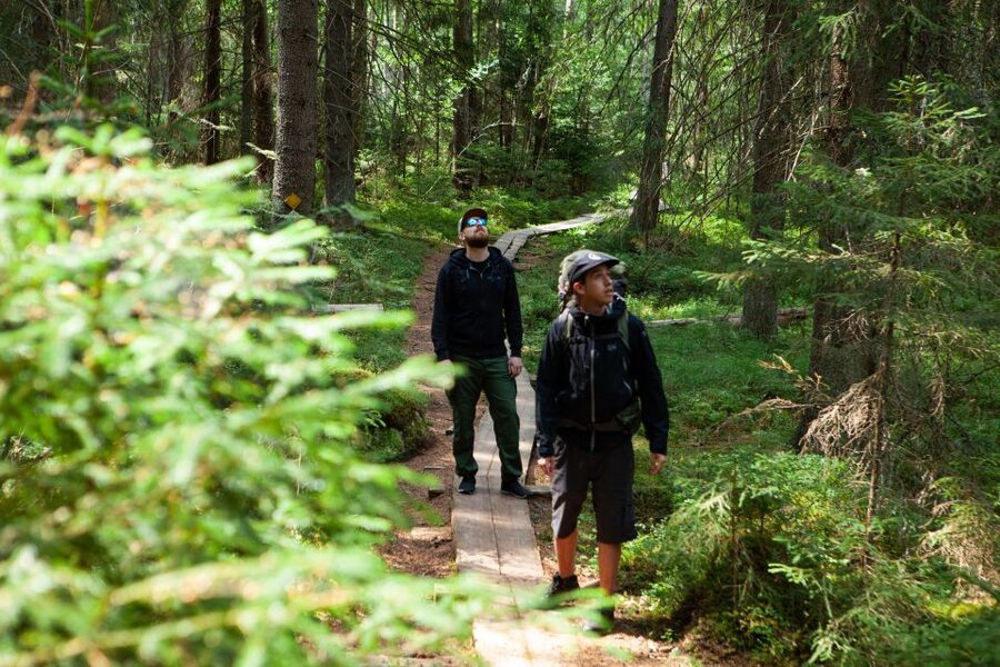 From Helsinki: Magical Taiga Hike in Liesjärvi National Park - The 7-Hour Plan: Getting From Kiasma to the Taiga (and Back)