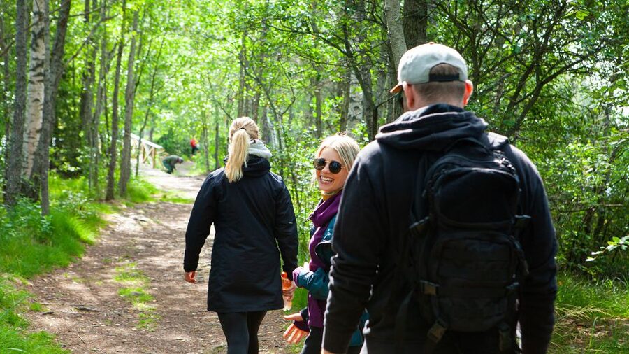 From Helsinki: Magical Taiga Hike in Liesjärvi National Park - The Lakeside Lunch: Finnish Comfort Food in Real Nature