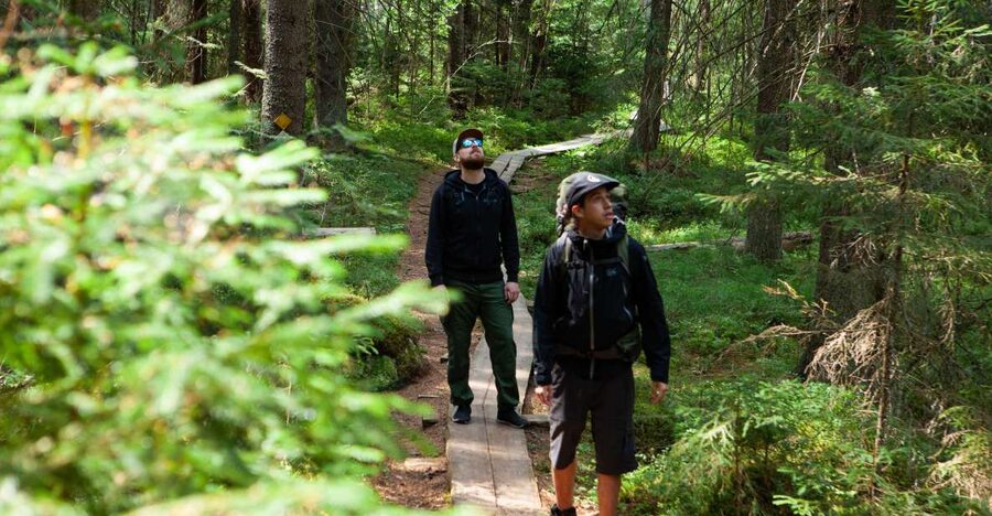 From Helsinki: Magical Taiga Hike in Liesjärvi National Park - Seasons in Liesjärvi: What Changes in Spring, Summer, Autumn, and Winter