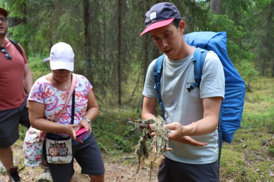 From Helsinki: Magical Taiga Hike in Liesjärvi National Park - Price and Value: What You Get for $182