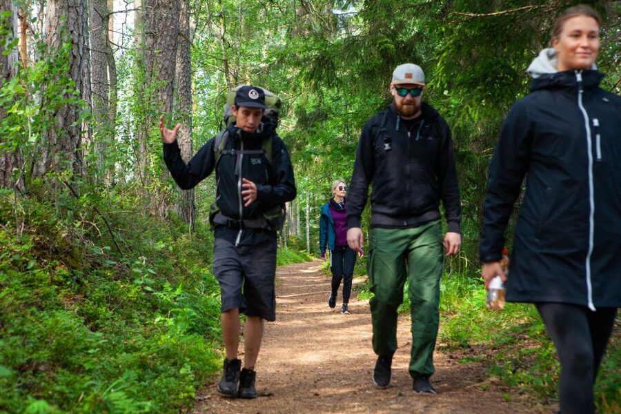 From Helsinki: Magical Taiga Hike in Liesjärvi National Park - What to Bring (and What to Skip) for a Smoother Day