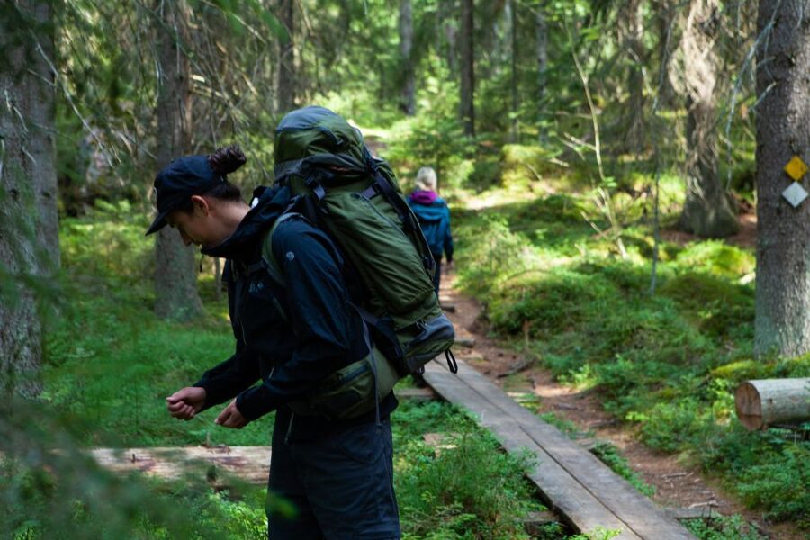 From Helsinki: Mushroom Hunting Tour in a National Park - Why Liesjärvi National Park is perfect for a chanterelle hunt
