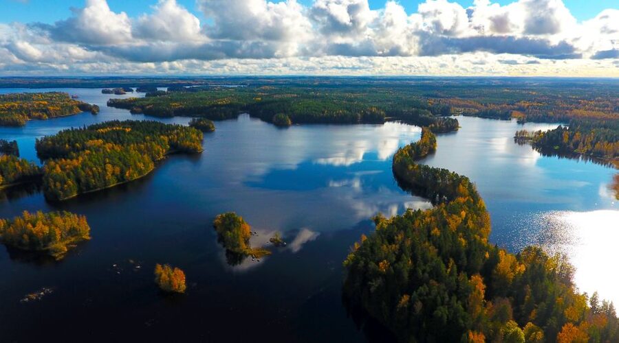 From Helsinki: Mushroom Hunting Tour in a National Park - The campfire lunch by the lakeside: why it’s worth the walk