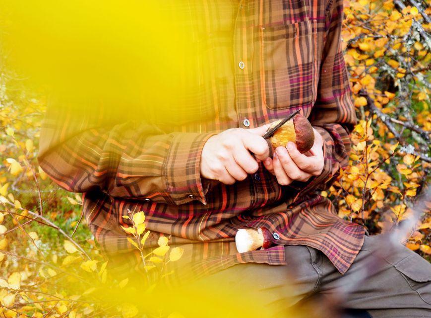 From Helsinki: Mushroom Hunting Tour in a National Park - What to bring and how to dress for a rain-or-shine day