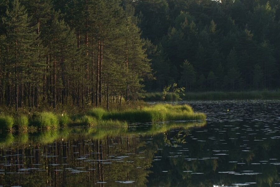 From Helsinki: Nuuksio National Park Half-Day Trip - Key things I’d mark on your map